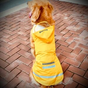 EUC, Outdoor, Waterproof, Reflective Yellow, Coat, For Medium Large Dog.